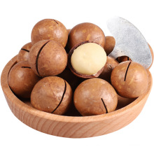 Yunnan Top Quality Factory Price Dry Nuts Food Organic Macadamia Nuts Macadamia Nuts for Sale